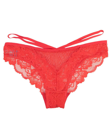 Love Libby 8114 Hibiscus Lace & Novelty Mesh Cheeky Bikini myselflingerie.com
